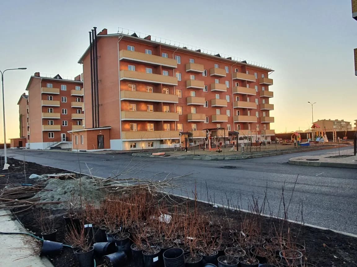 Оазис
