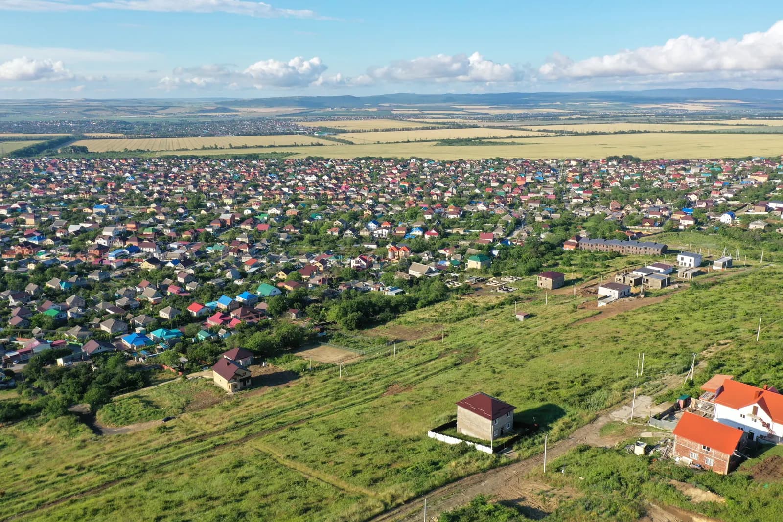 Виноград, фото 3