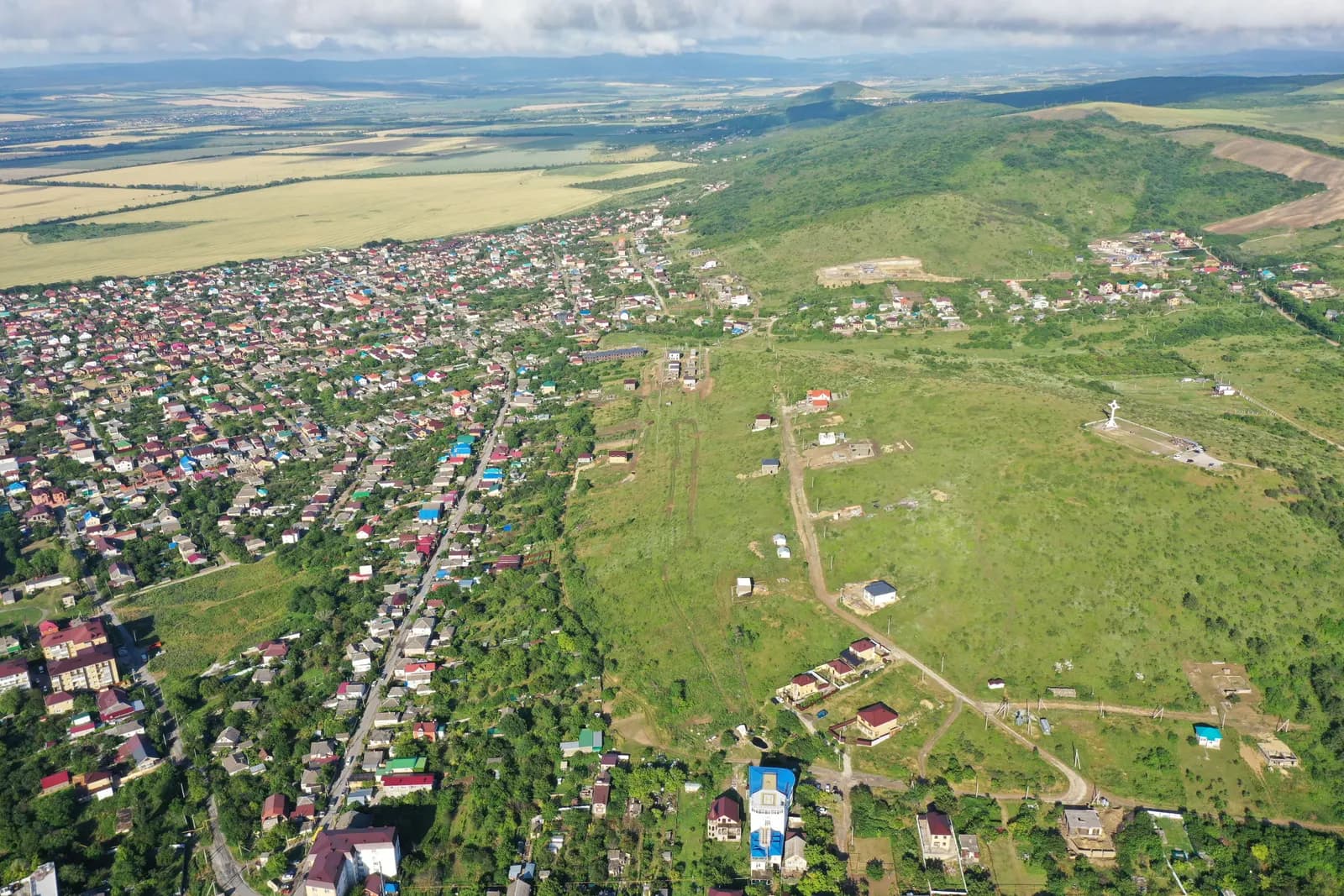 Виноград, фото 4
