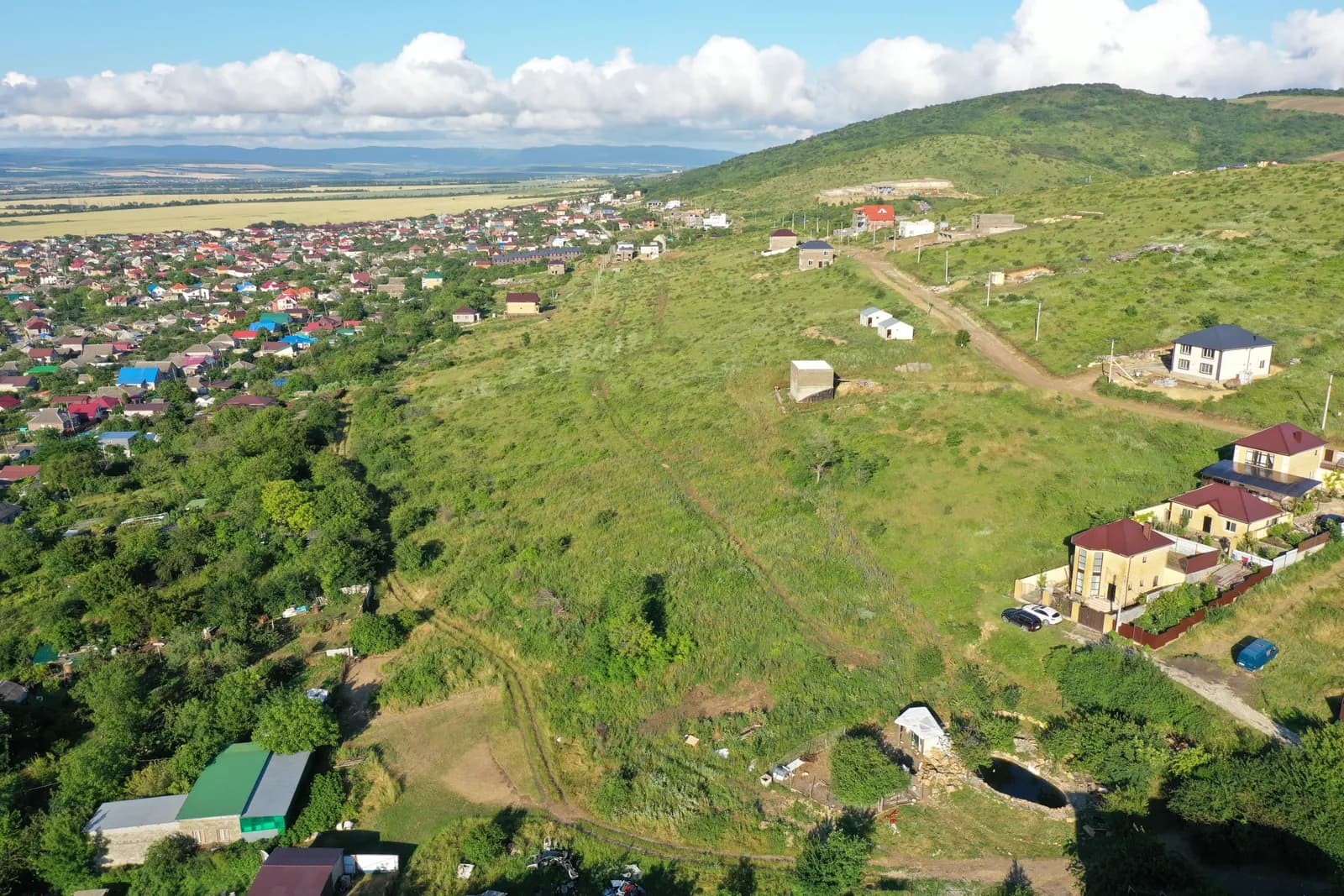 Виноград, фото 5